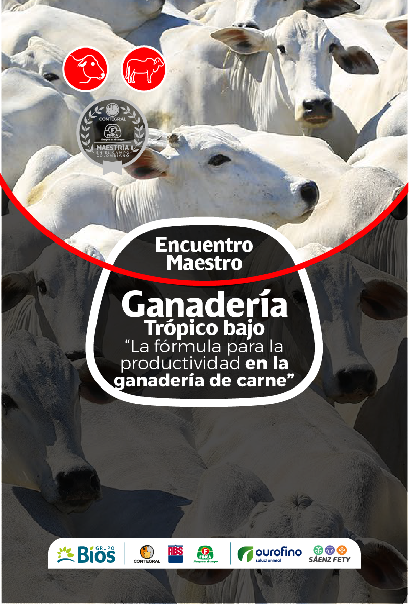 jornada_ganadera638531374832184829