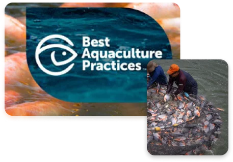  Certificación Best Aquaculture Practices