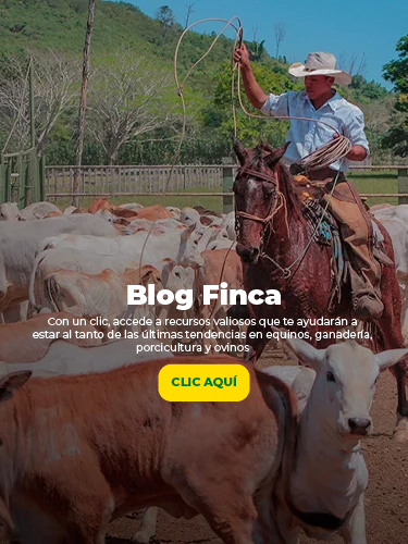 Blog Finca