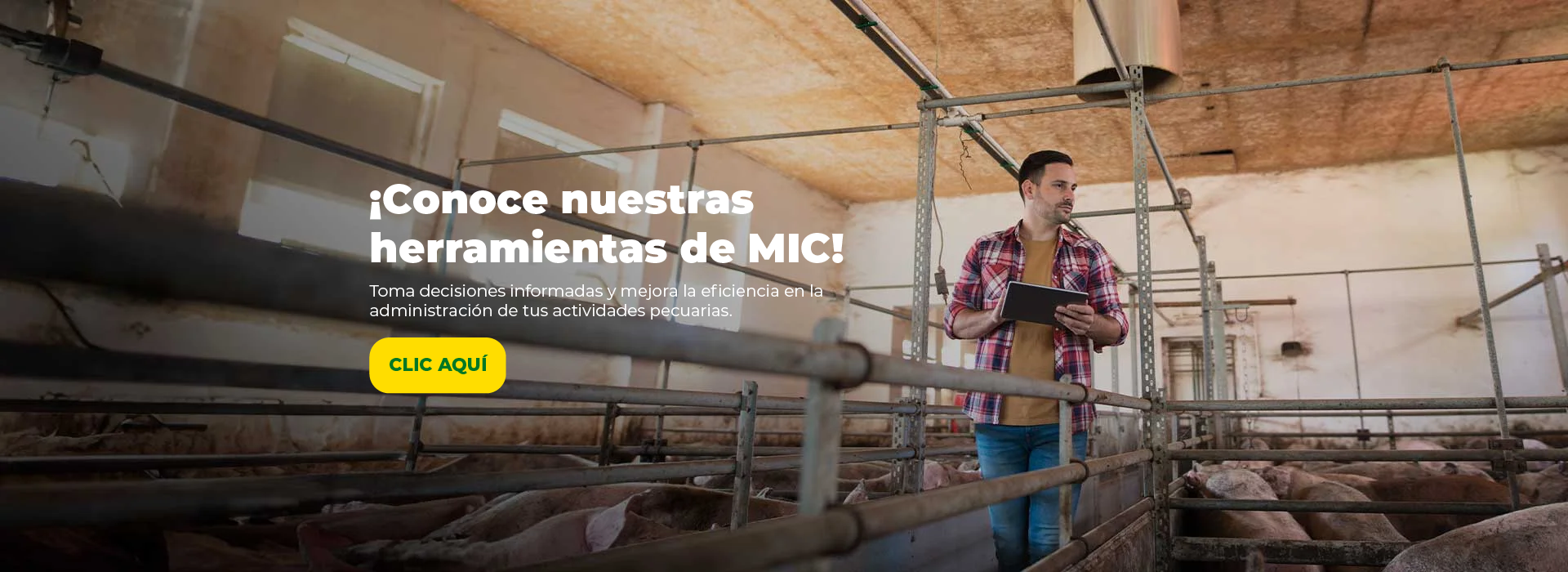 ¡Conoce nuestras herramientas de MIC!