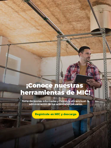 ¡Conoce nuestras herramientas de MIC!