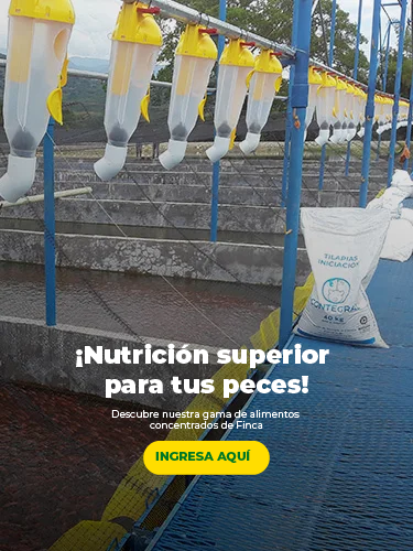 ¡Nutrición superior para tus aves!
