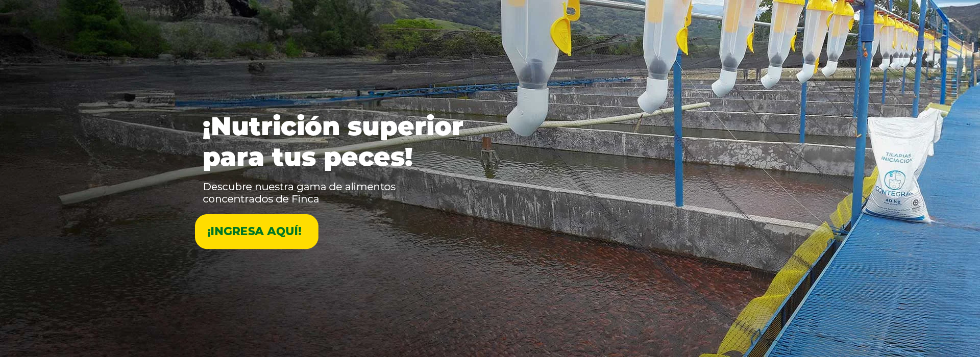 ¡Nutrición superior para tus aves!