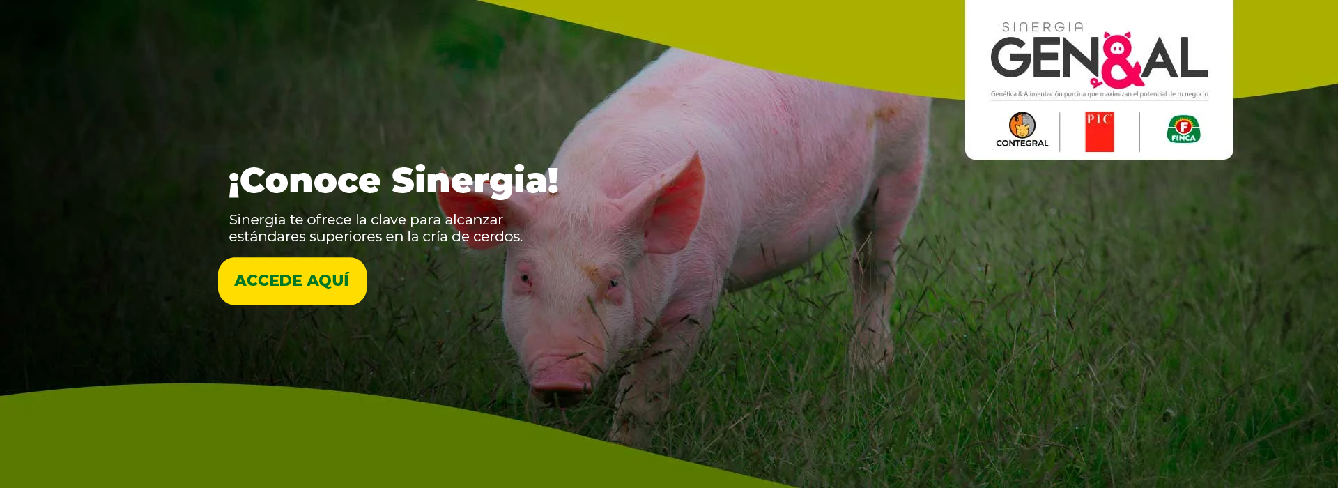 ¡Conoce Sinergia!