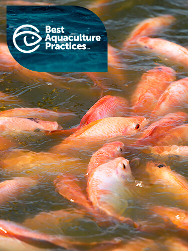  Certificación Best Aquaculture Practices