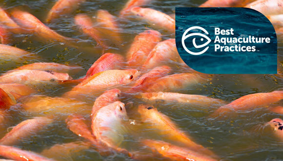  Certificación Best Aquaculture Practices