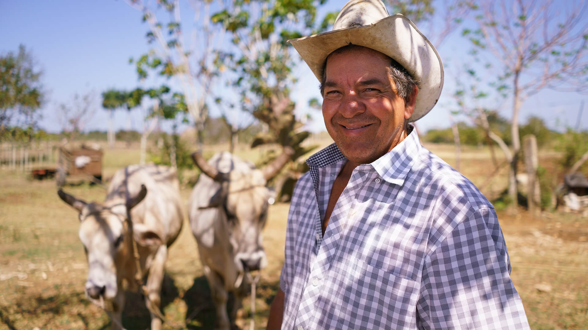  Nosotros - Finca