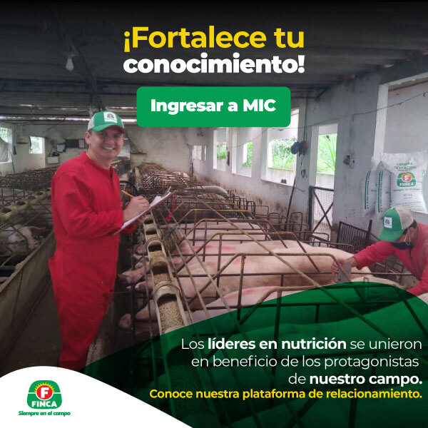 Imagen fortalece tu conocimiento