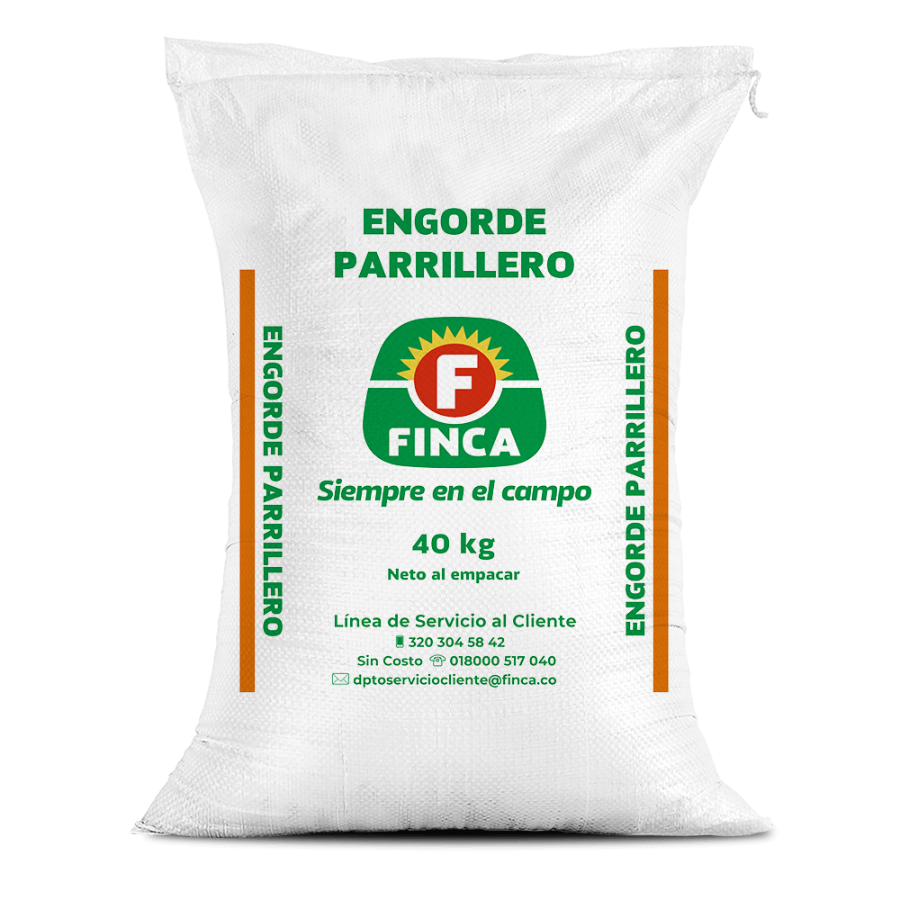 Engorde parrillero