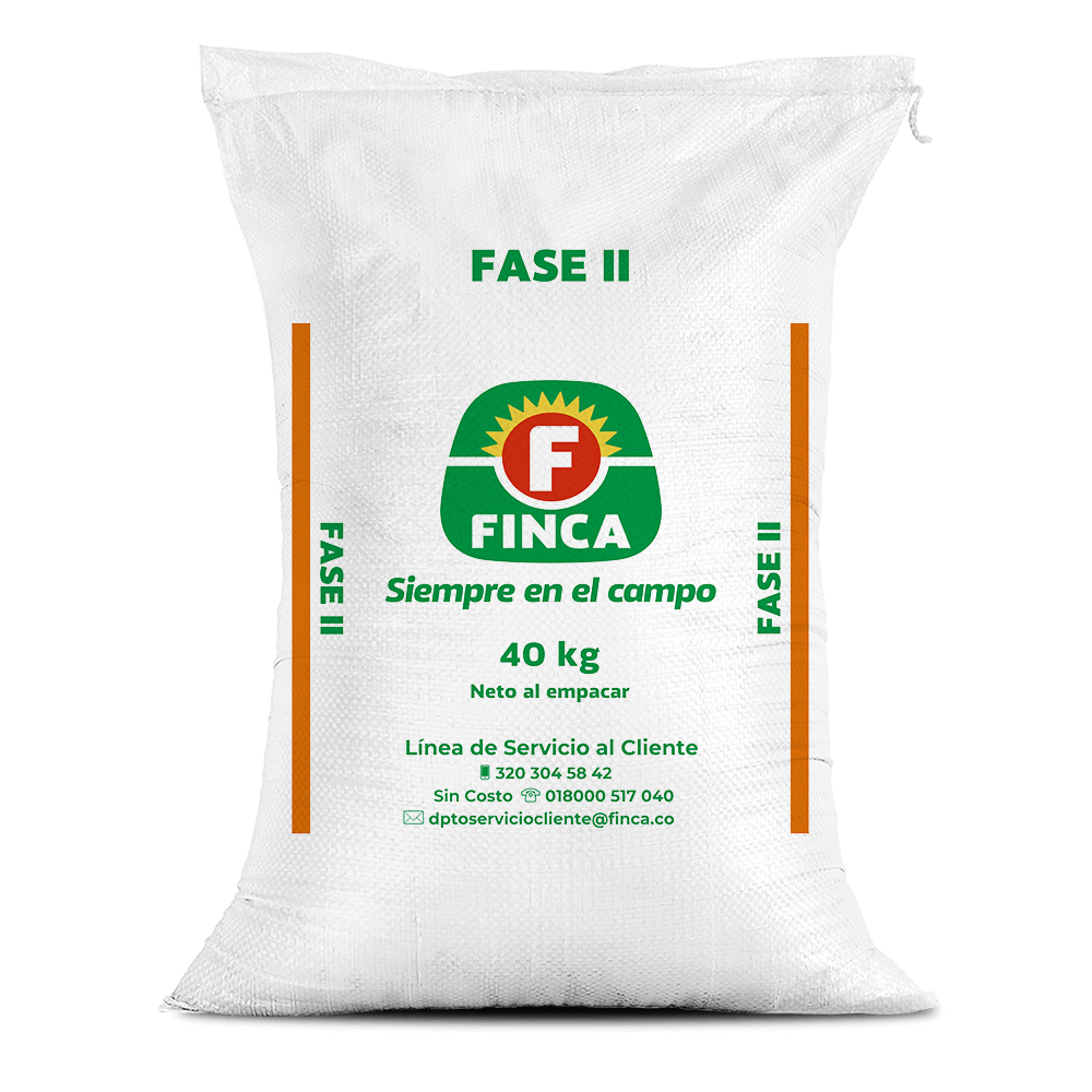 Fase II