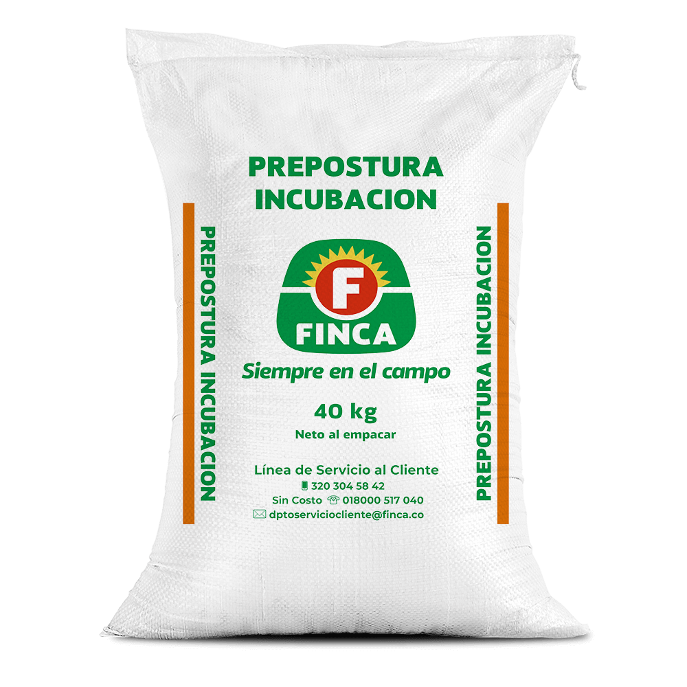 Prepostura incubación