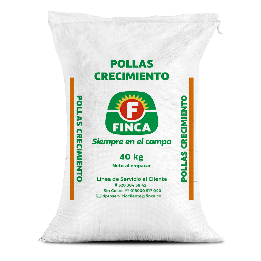 Pollas crecimiento