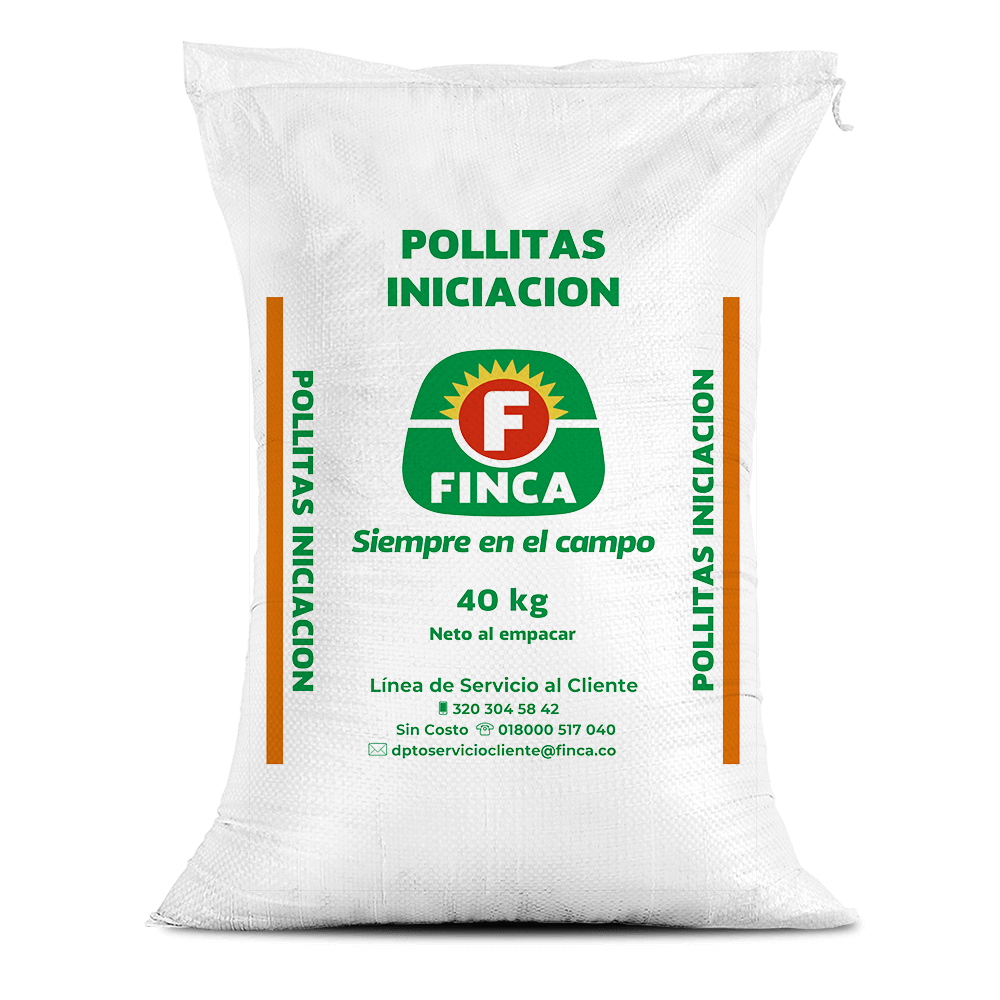 Pollitas iniciación