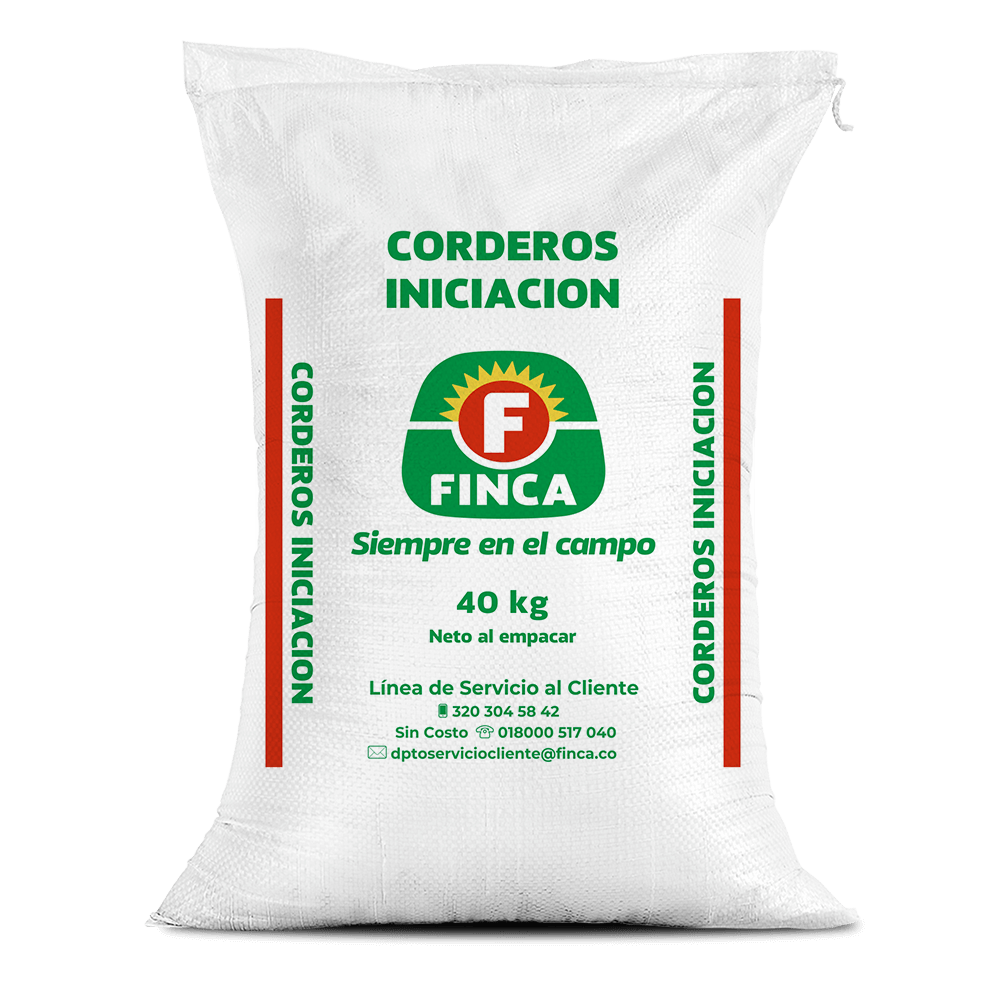Corderos iniciación