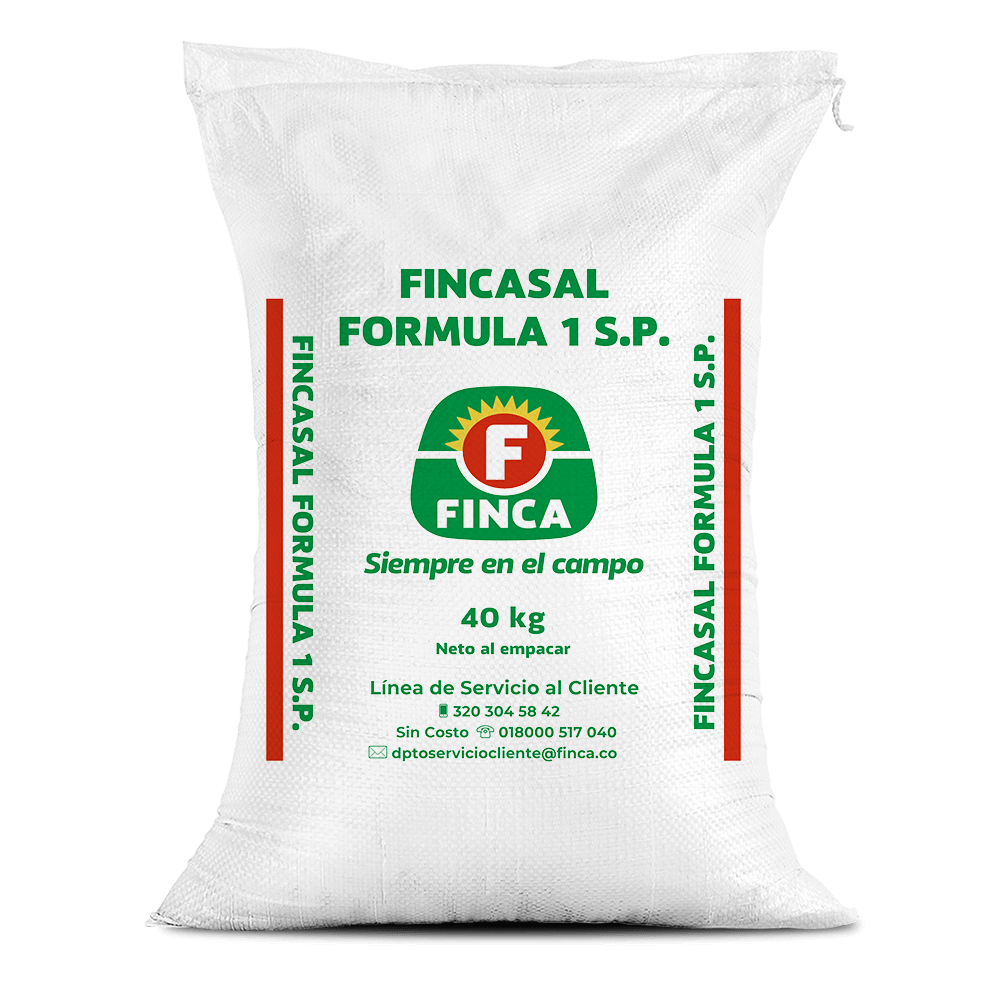 Fincasal fórmula 1 SP