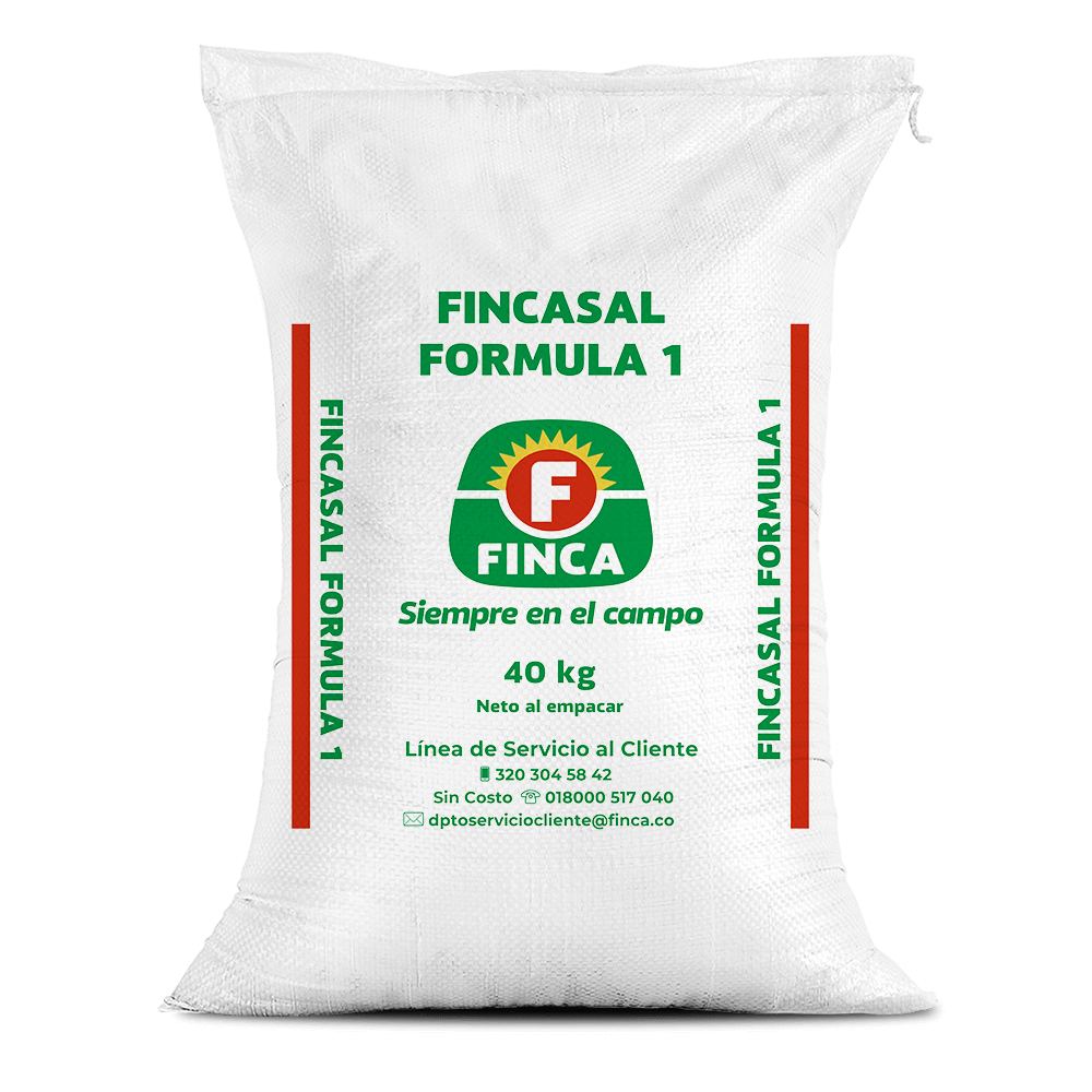 Fincasal fórmula 1