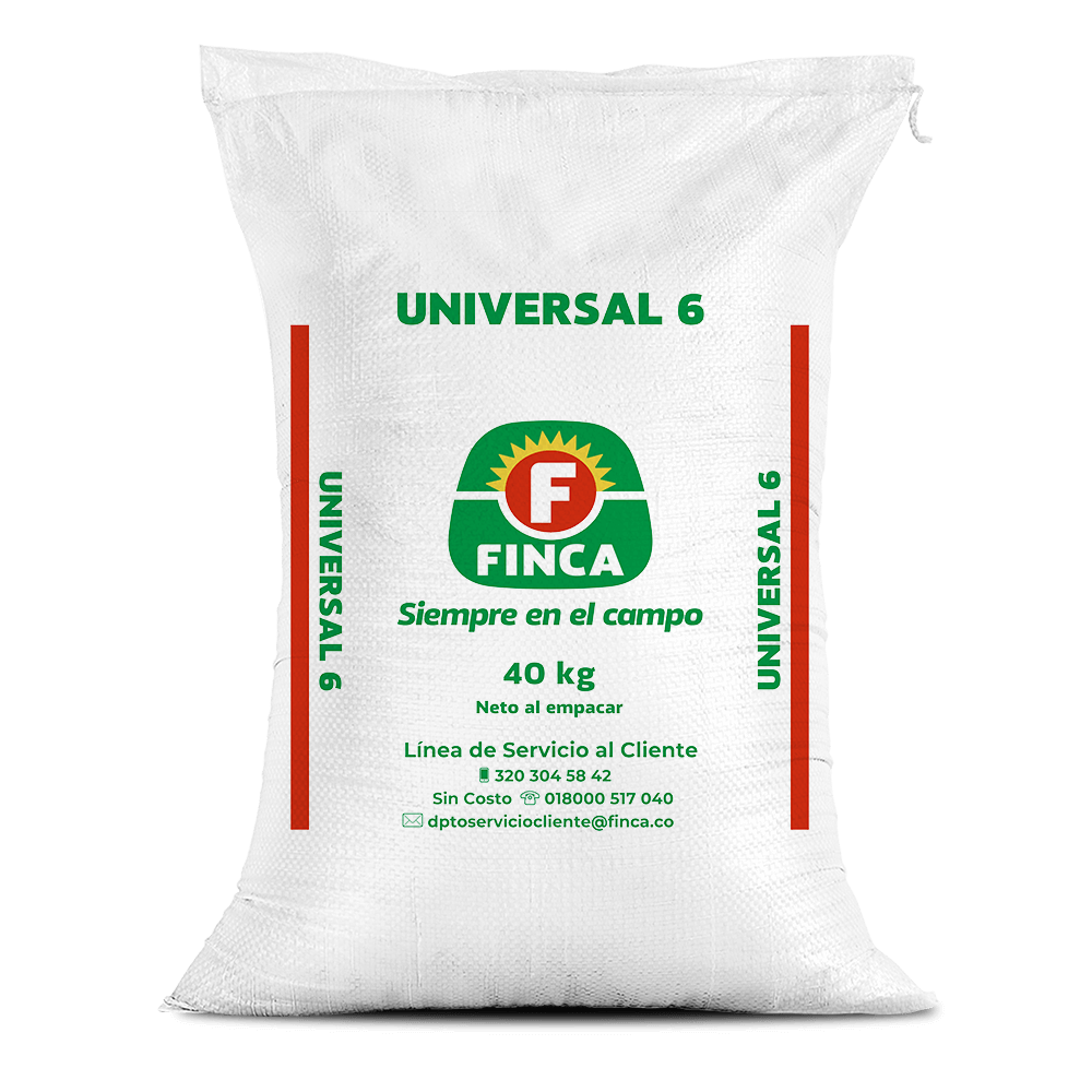 Universal 6