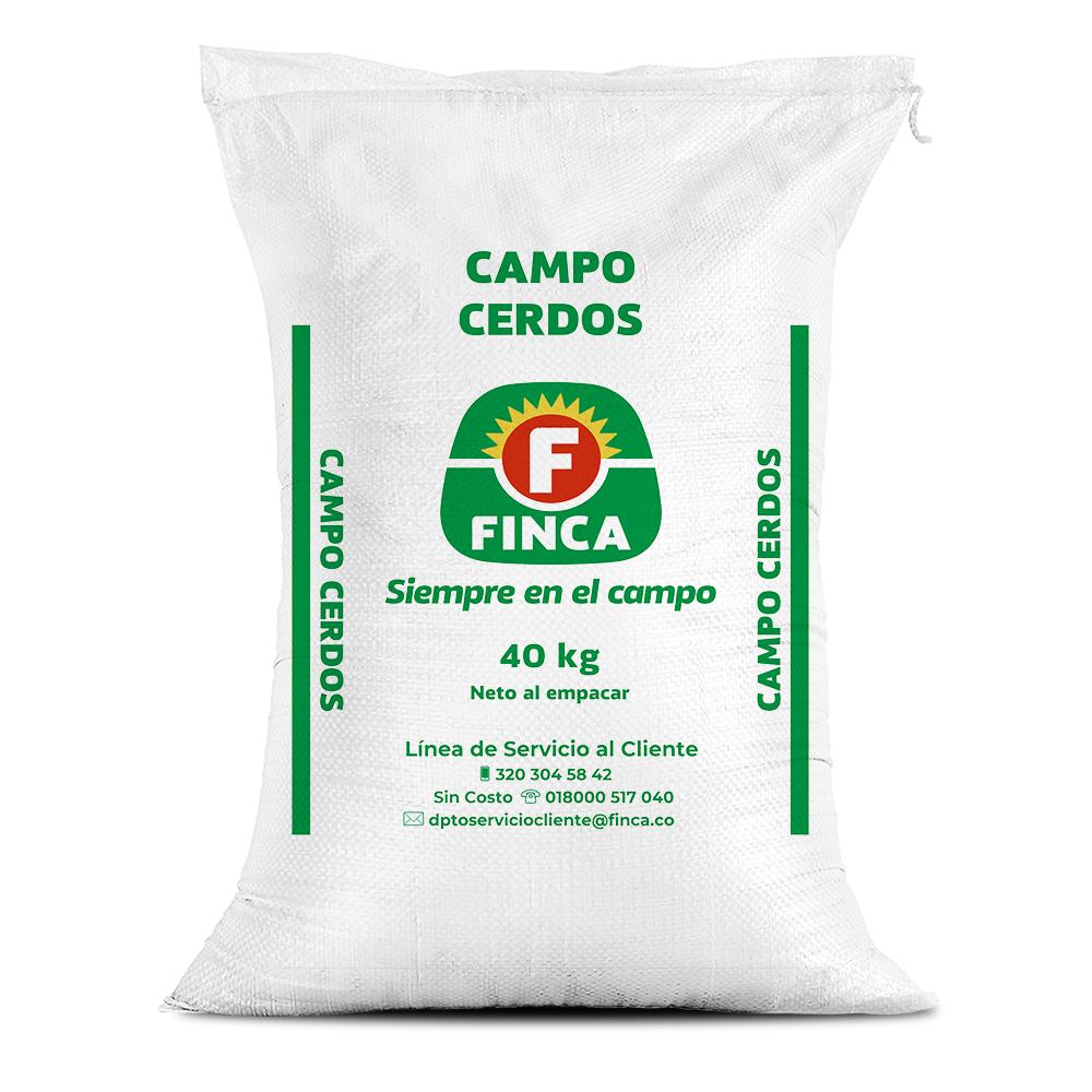 Campo cerdo