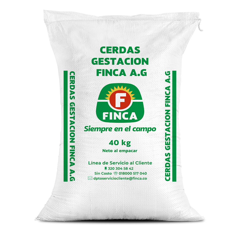 Cerdas Finca gestación AG