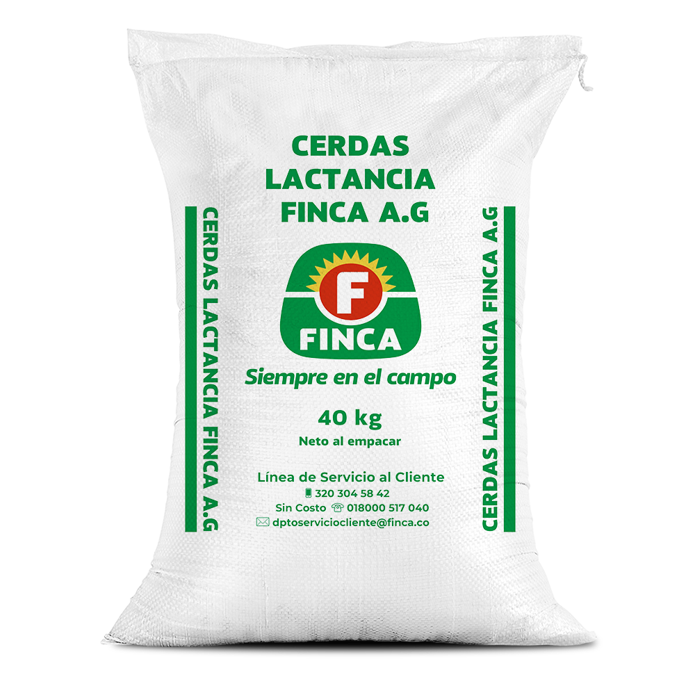 Cerdas lactancia Finca AG