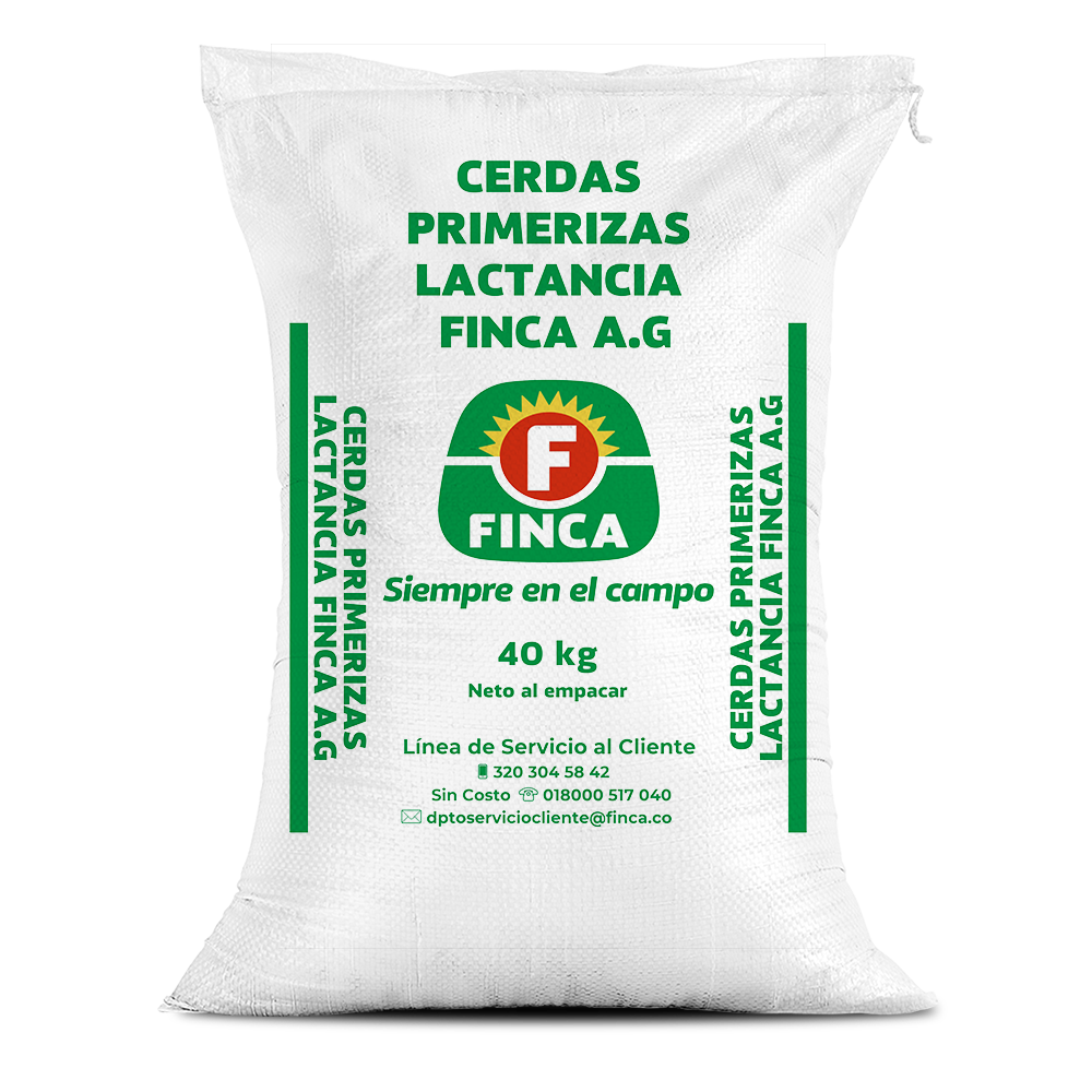 Cerdas primerizas lactancia Finca AG