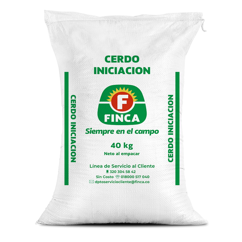 Cerdos iniciación