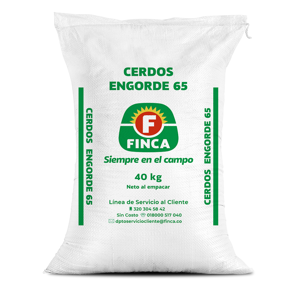 Cerdo engorde 65