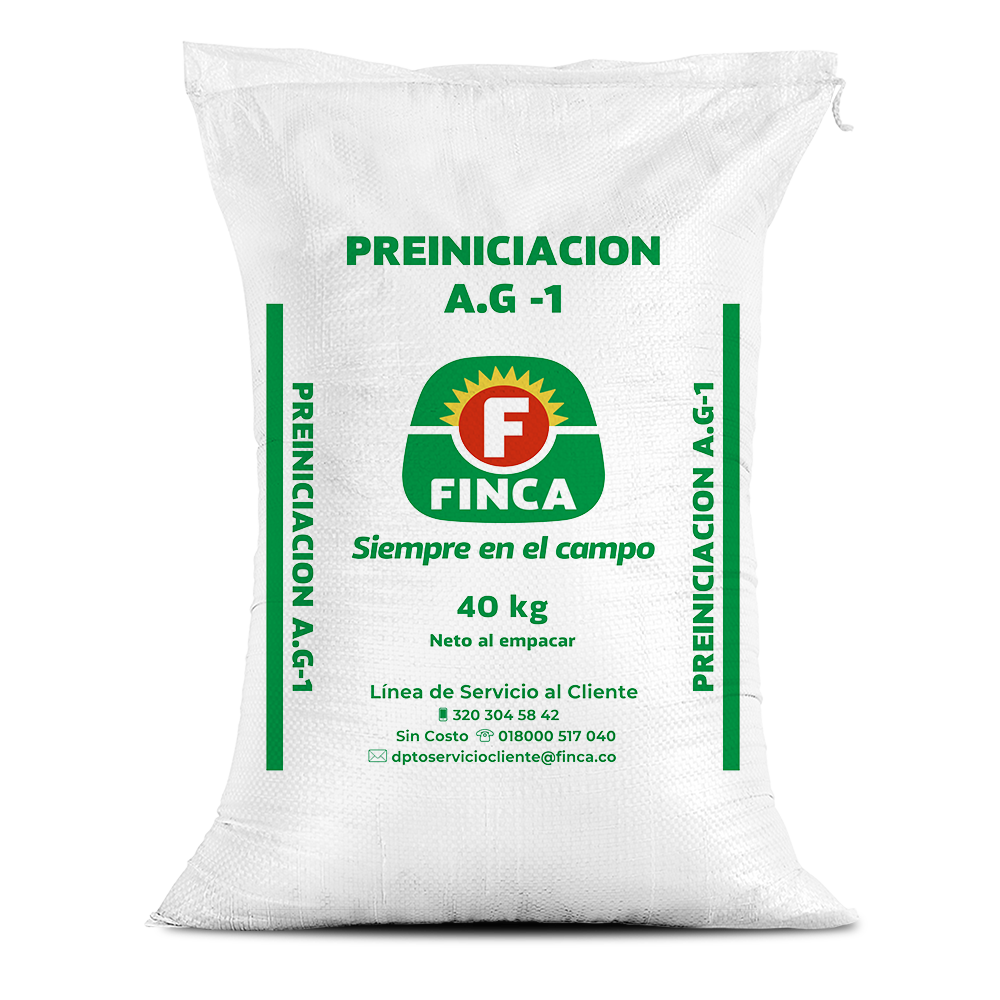 Preiniciación A G1