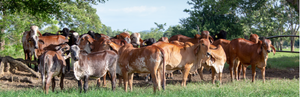 Aprendizajes del campo lo que nos dejaron la 2da y 4ta Jornada Maestra